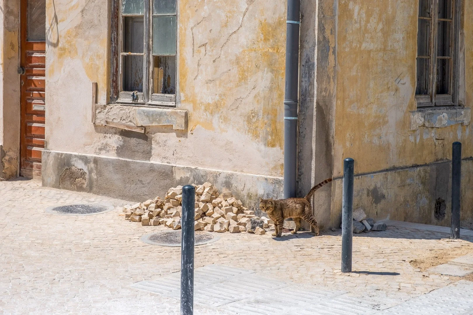A tabby cat picks its way past a rubble pile against a crumbling yellow facade on a quiet Lisbon street. Photograph by Gil Ribeiro.